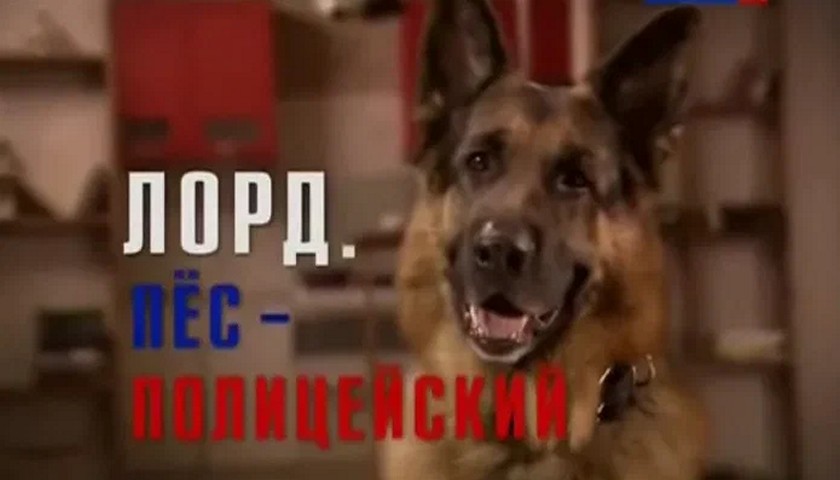 Сериал «Лорд. Пес-полицейский»